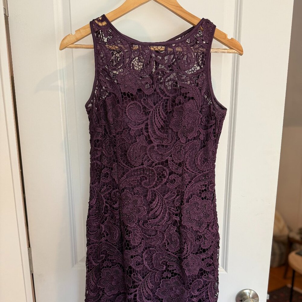 Adrianna Papell Knee Length Purple Lace Dress Size 2